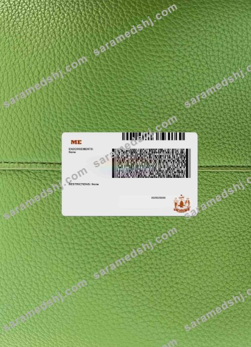 USA Maine driving license under 21 photolook BACK